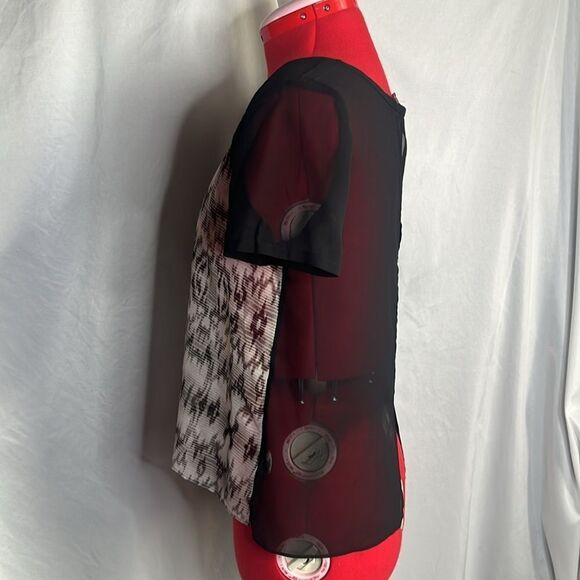 XS54 American eagle outfitters sheer two tone blouse - Picture 3 of 7